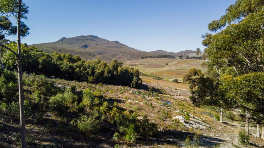 Commercial Property for Sale in Hemel and Aarde Western Cape